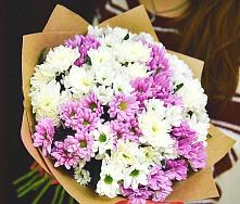 Букет цветов из:  Хризантемы #REPLACE_PRED# Восходе