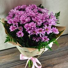 Букет цветов из:  Хризантемы #REPLACE_PRED# Восходе