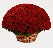 Премиум букет из: Розы в Восходе